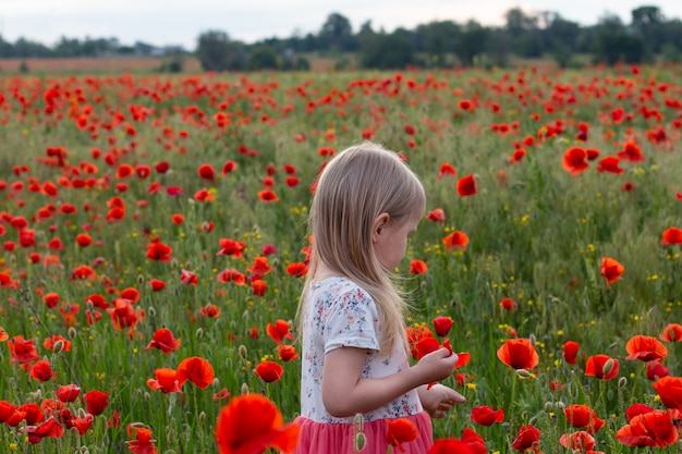 Kleines nettes blondes Kindermädchen im weißen und roten Kleid auf auf dem Mohnblumengebiet bei Sonnenuntergang