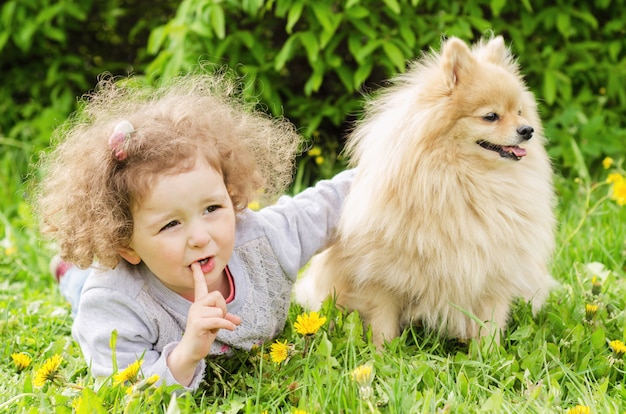 kleines schönes Mädchen auf dem Gras mit Hund. glückliches Baby, das weißen deutschen Spitz im Freien umarmt.