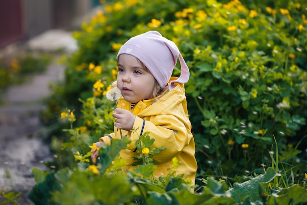 Kleines schönes Mädchen in einer rosa Mütze und einer gelben Jacke sitzt in einem Feld aus gelben Löwenzahn und Blumen