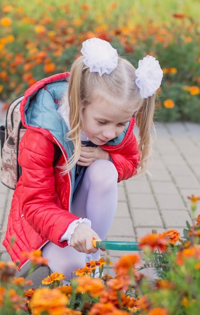 Kleines Schulmädchen untersucht Blumen auf Blumenbeet durch Lupe