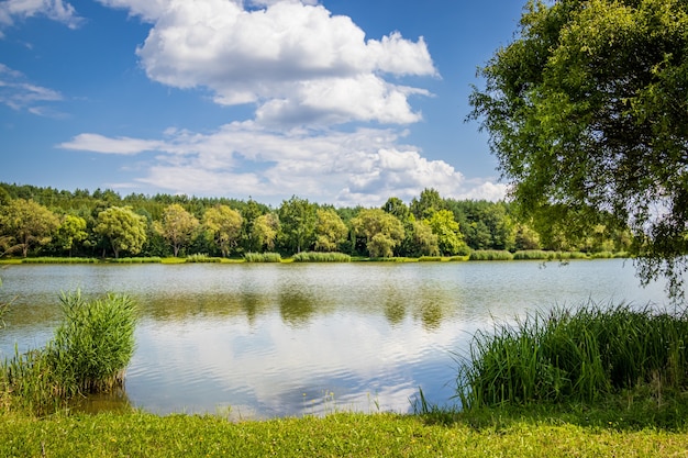 Kleines Seeufer im Sommer in Ungarn