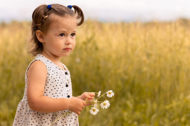 Kleines süßes Mädchen 1-3 in einem leichten Kleid steht im Sommer auf dem Feld der Roggenährchen mit einem Strauß Gänseblümchen