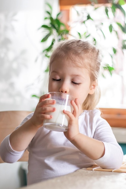 Kleines süßes Mädchen, das Milch trinkt, Kind, das morgens mit einem Glas heißer Milch frühstückt