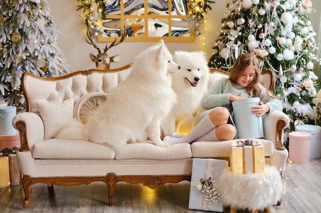 Kleines süßes Mädchen, das mit zwei Samojedenhunden auf dem Sofa sitzt