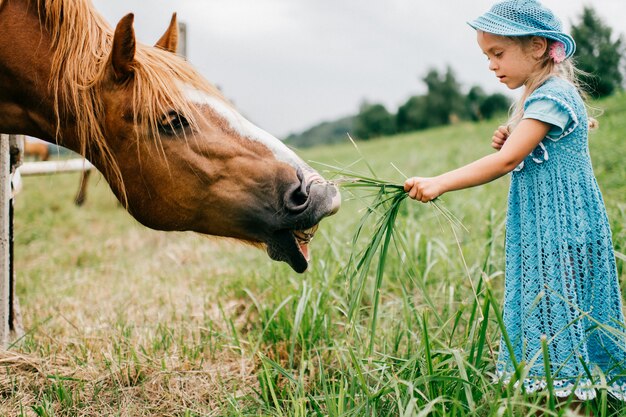 Kleines verängstigtes lustiges Kind im blauen Kleid, das wildes Pferd mit Gras füttert.