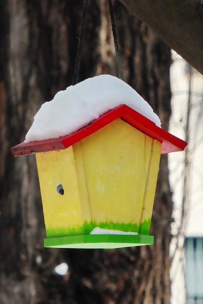 Kleines Vogelhaus zur Winterzeit