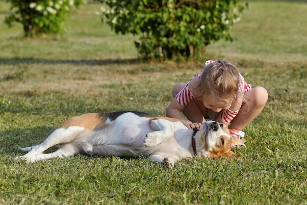 Kleines weißes Mädchen spielt im Sommer mit einem Beagle-Hunde-Fotoshooting auf der Straße