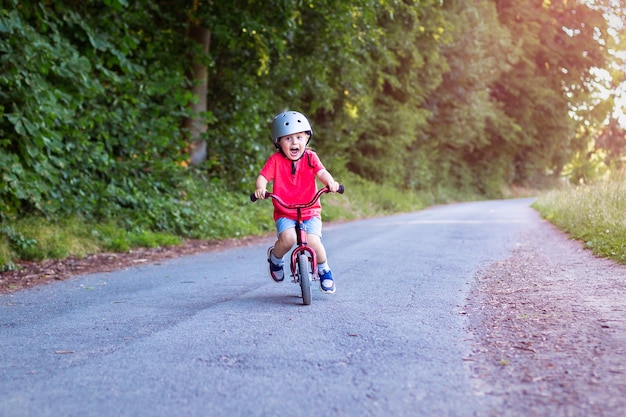 Kleinkind Junge fährt im Sommer auf einem Laufrad im Park Sportliche Aktivität für kleine Kinder