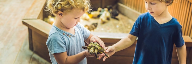 Kleinkinder Junge und Mädchen streicheln und spielen mit Schildkröten im Streichelzoo-Konzept der Nachhaltigkeit