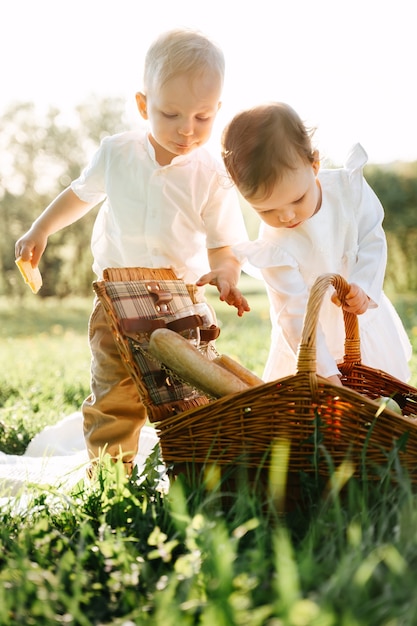 Kleinkindertochter und Sohn klettern in einen Weidenkorb, um auf einer grünen Wiese nach Essen für ein Picknick zu suchen