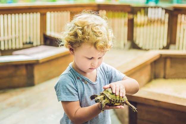 Kleinkindmädchen streichelt und spielt mit Schildkröten im Streichelzoo. Konzept der Nachhaltigkeit, Liebe zur Natur, Respekt vor der Welt und Liebe zu Tieren. Ökologisch, biologisch, vegan, vegetarisch