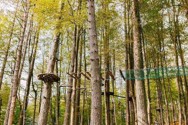 Kletterpark hoch in den Bäumen