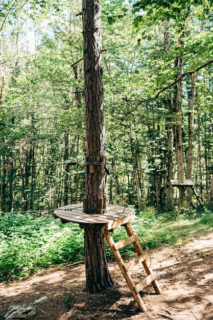 Kletterpark hoch in den Bäumen