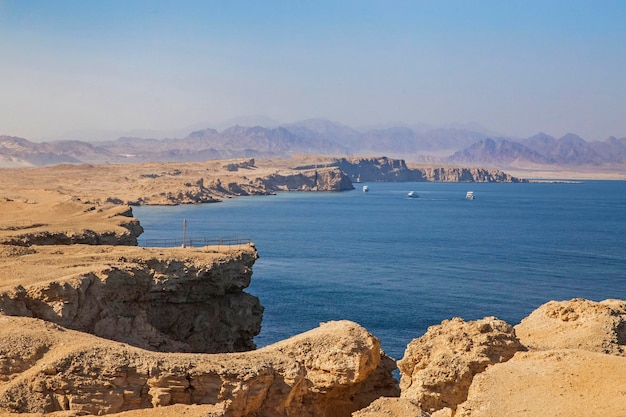 Klippe am Roten Meer in Ägypten