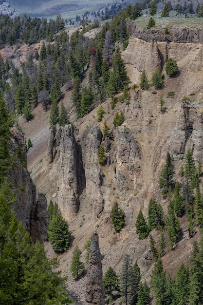 Klippe des roten Felsens mit Bäumen in der amerikanischen Landschaft