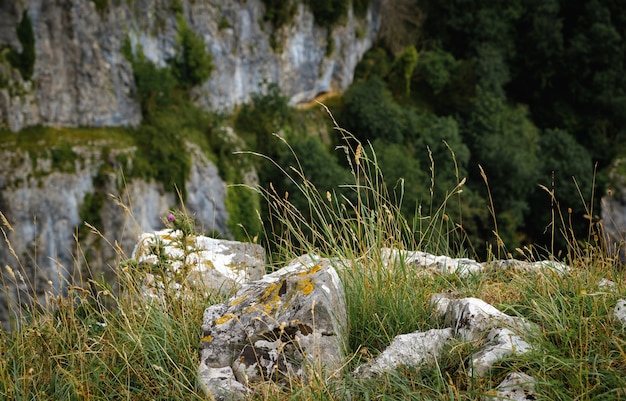 Klippen der Cheddar-Schlucht vom hohen Standpunkt aus.