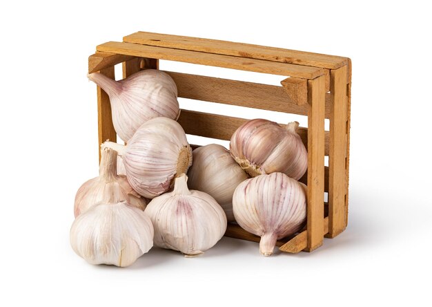 Knoblauch auf weißem Hintergrund