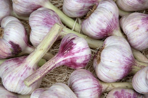 Knoblauch-Gemüse-Hintergrund am Markt