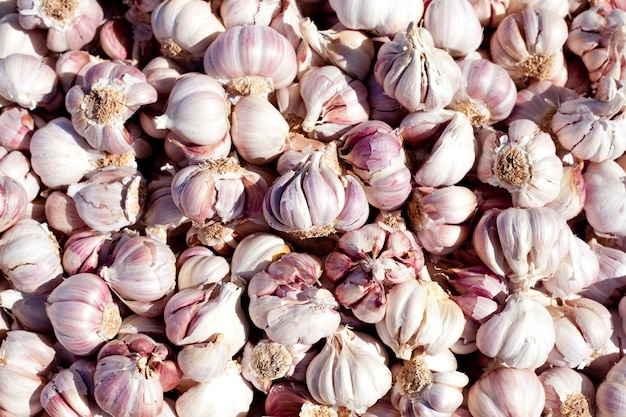 Knoblauch im Lebensmittelmarkt