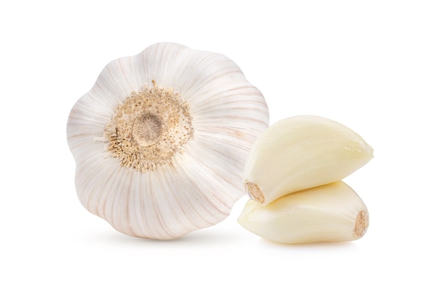 Knoblauch isoliert auf weiß