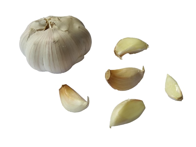 Knoblauch isoliert auf weißem Hintergrund