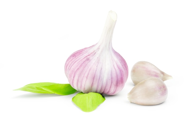 Knoblauch isoliert