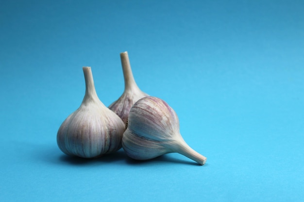 Knoblauch und Knoblauchzehen auf einem blauen Hintergrund gute heiße Gewürze