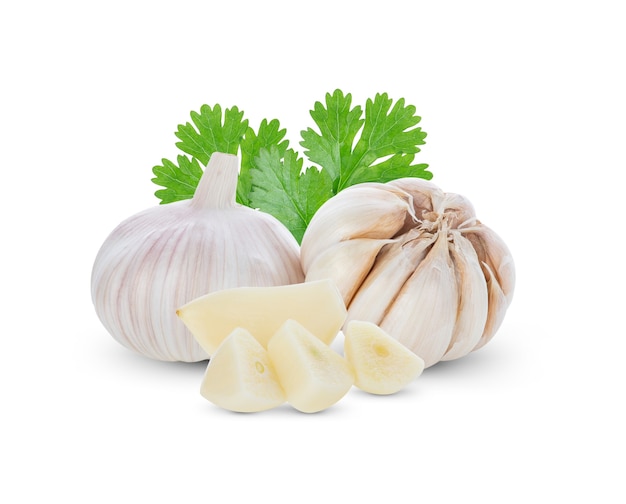 Knoblauch- und Korianderblätter lokalisiert auf Weiß