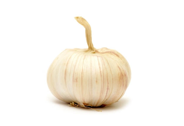 Knoblauch