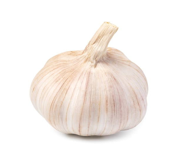 Knoblauch