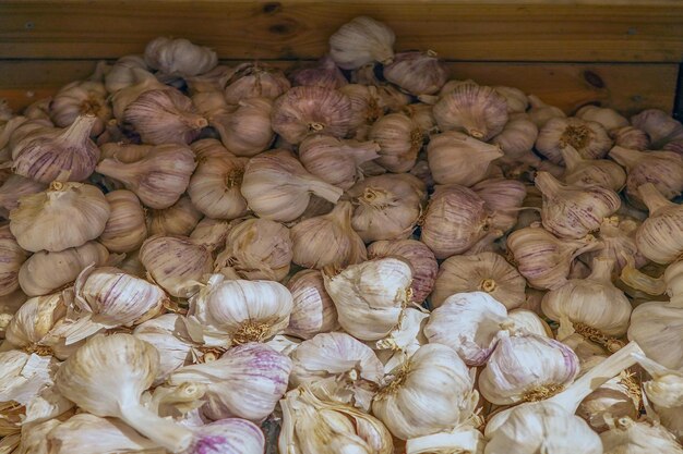 Knoblauchhintergrund Frischer Knoblauch auf dem Markttisch-Nahaufnahmefoto