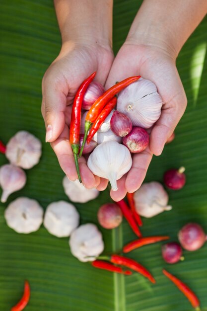 Knoblauchknolle, Paprika und Schalotte, die in der Hand hervorstehen