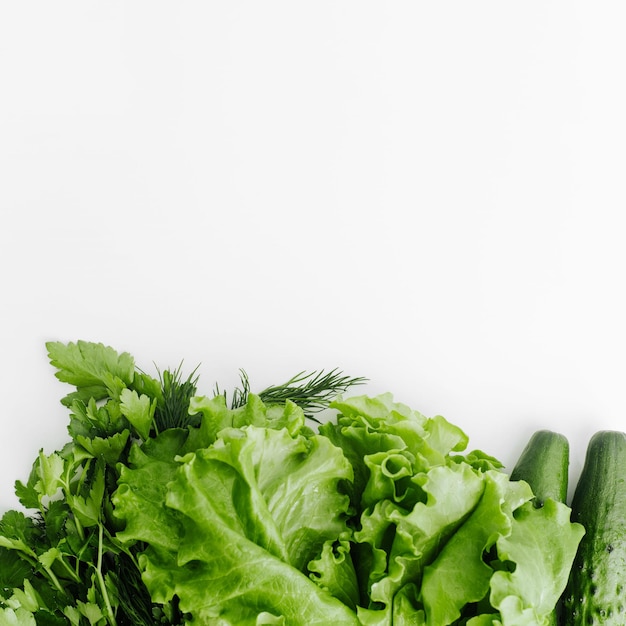 Öko-Gemüse Bio gesunde Gartenkost Kopierraum Draufsicht Grüns frischer Salat Dill Petersilie Gurken auf weißem Küchentisch