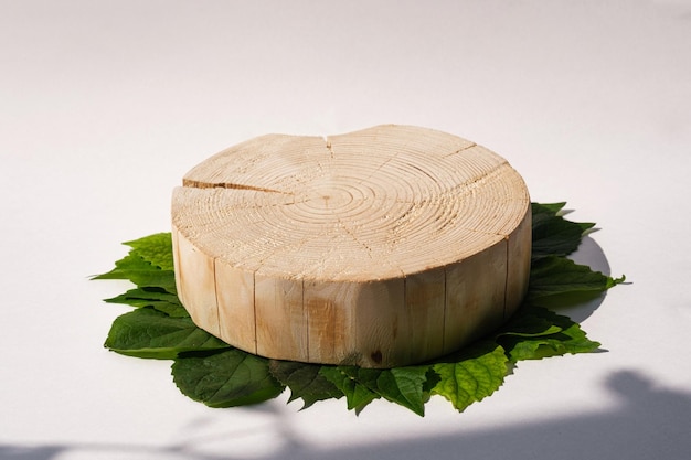 Öko-Holzpodeststumpf auf grünen Blättern im Hintergrund mit Schatten, Attrappe, Öko-Szene zur Präsentation von Beauty-Produkten