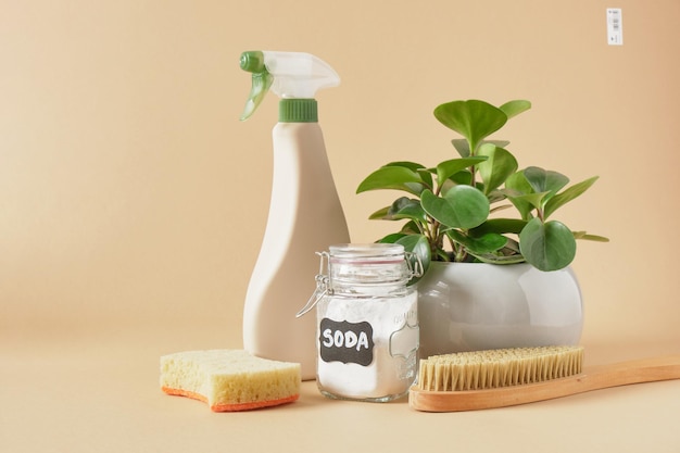 Öko-Reinigungskonzept Reinigung mit ungiftigen Produkten eine Dose Soda eine Sprühflasche mit einem Öko-Produkt