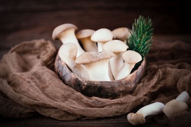 König Austernpilze pleurotus eryngii an der Holzwand