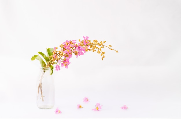 Königinblume in der Flasche auf weißem Hintergrund