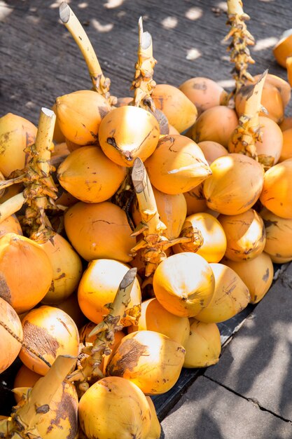 Königsgelbe Kokosnüsse auf Zweigen