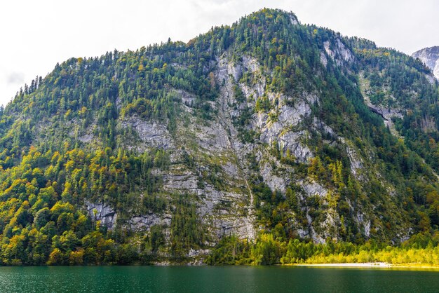 Königssee mit Alpenbergen Königssee Nationalpark Berchtesgaden Bayern Deutschland