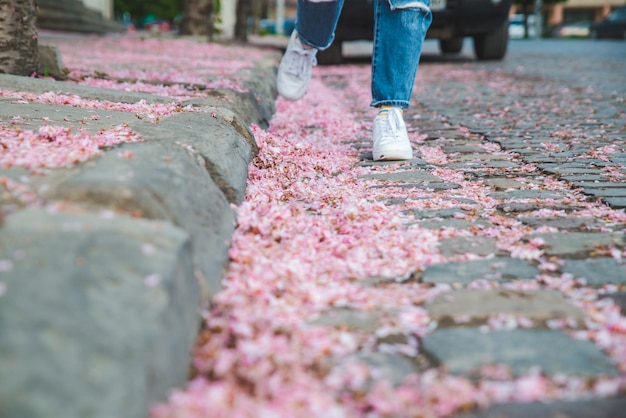 Körperteile Nahaufnahme einer Frau, die in weißen Turnschuhen an abgefallenen rosafarbenen Sakura-Blüten vorbeigeht