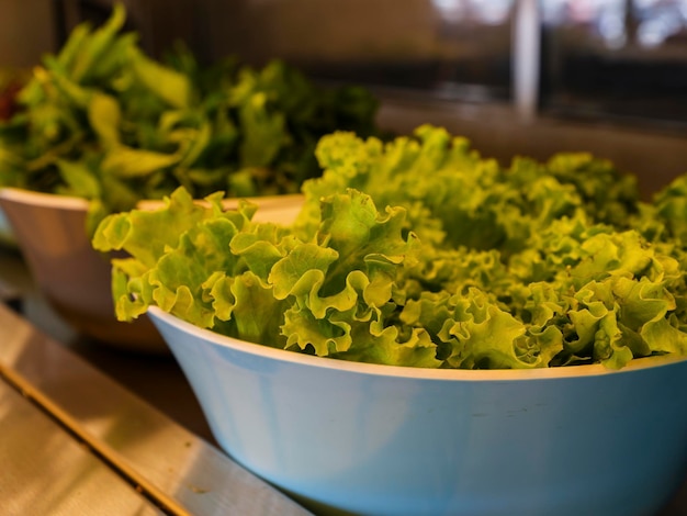 Köstliche grüne Salate am Hotelbuffet