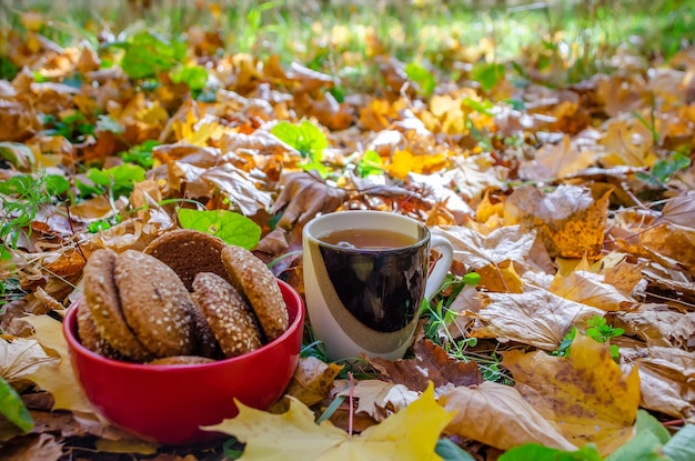 Köstliche Haferkekse sind in der Platte Herbstpicknick im Wald