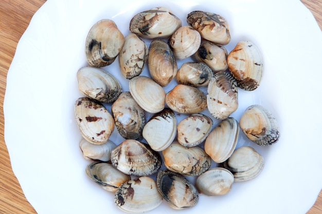 Köstliche Muscheln zum Kochen vorbereitet