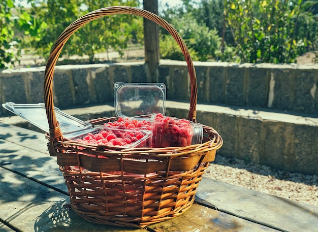 Köstliche rote Himbeeren in einem Korb