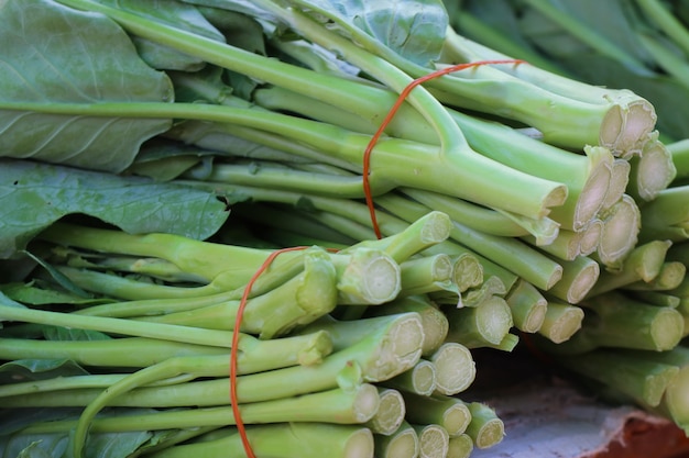 Kohl auf dem Markt