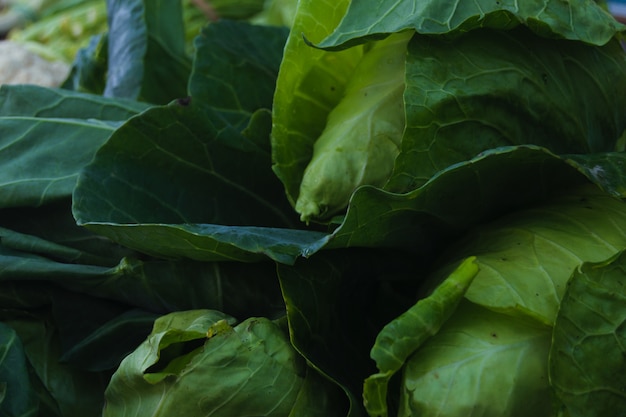 Kohl auf dem Markt