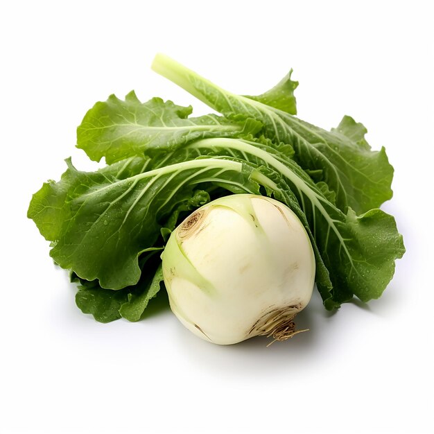 Kohlrabi fresco isolado com folhas verdes em fundo branco