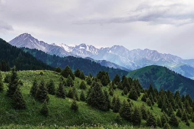 Kok Zhailau Hochebene TianShan-Gebirge Almaty Kasachstan