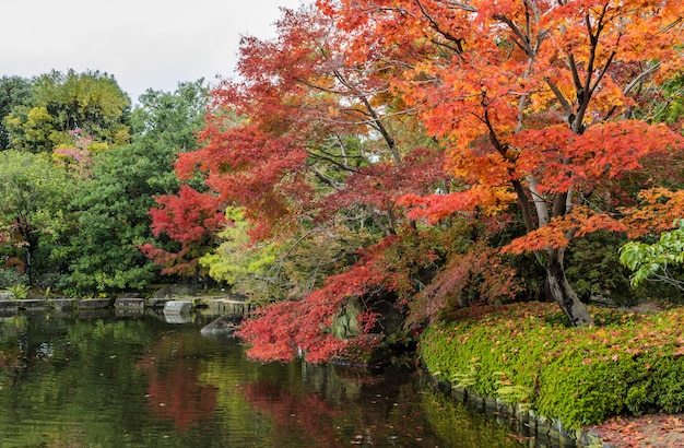 Kokoen, jardim japonês tradicional durante a temporada de outono em Himeji, Japão