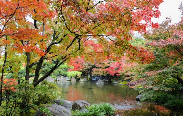 Kokoen, jardín tradicional japonés durante la temporada de otoño en Himeji, Japón